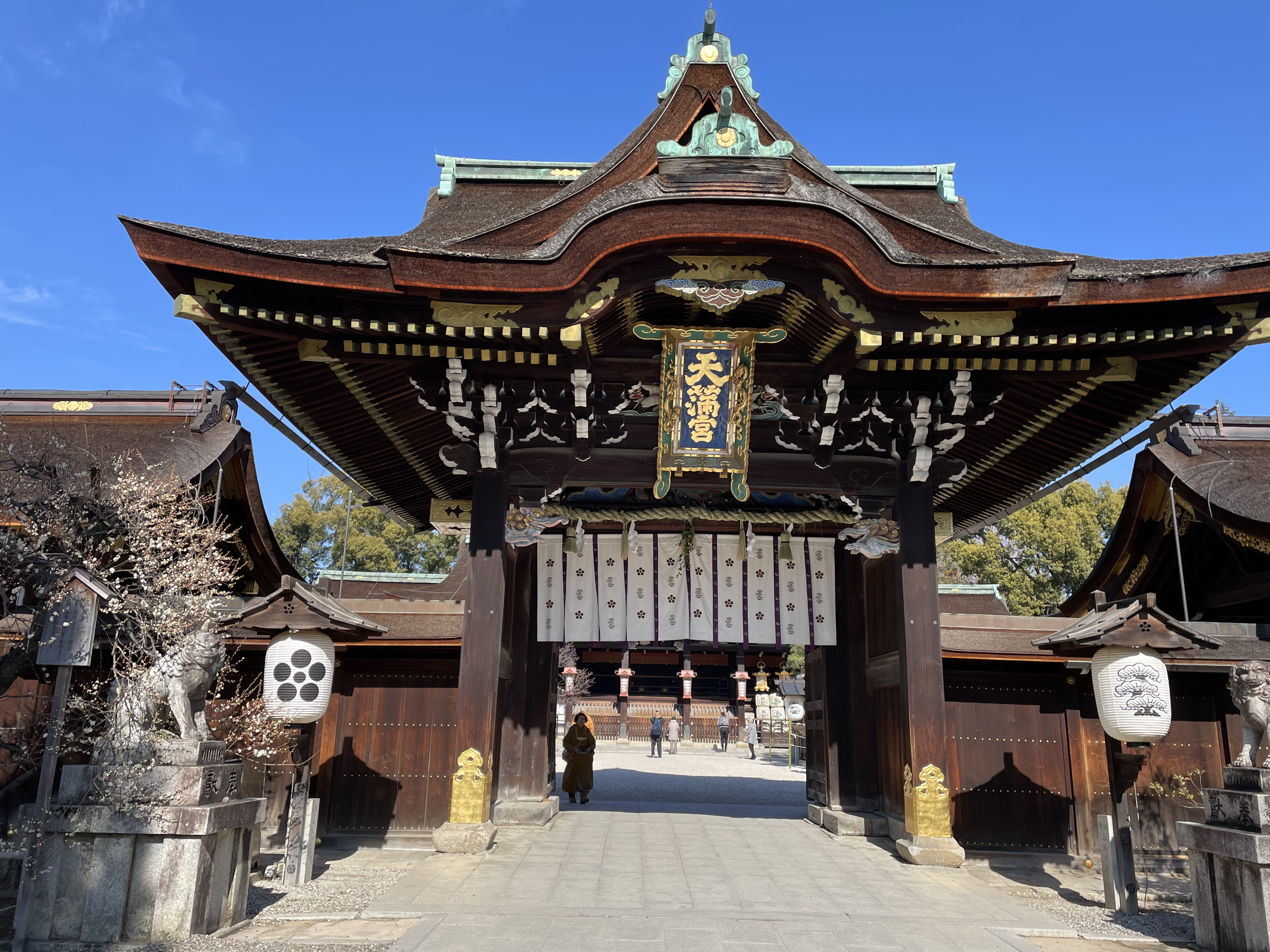 第113回看護師国家試験応援しています！