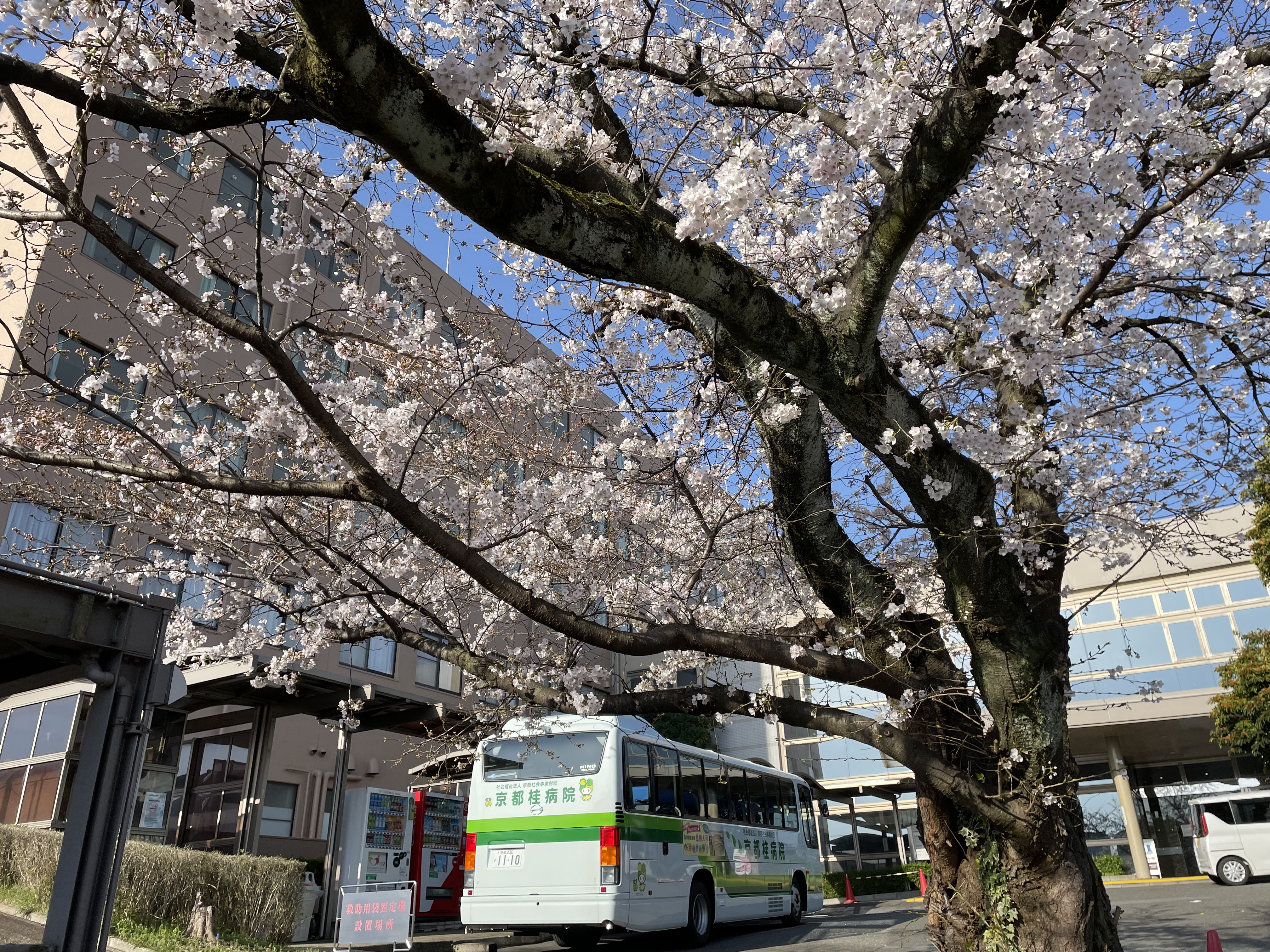 2024年度始まりました！