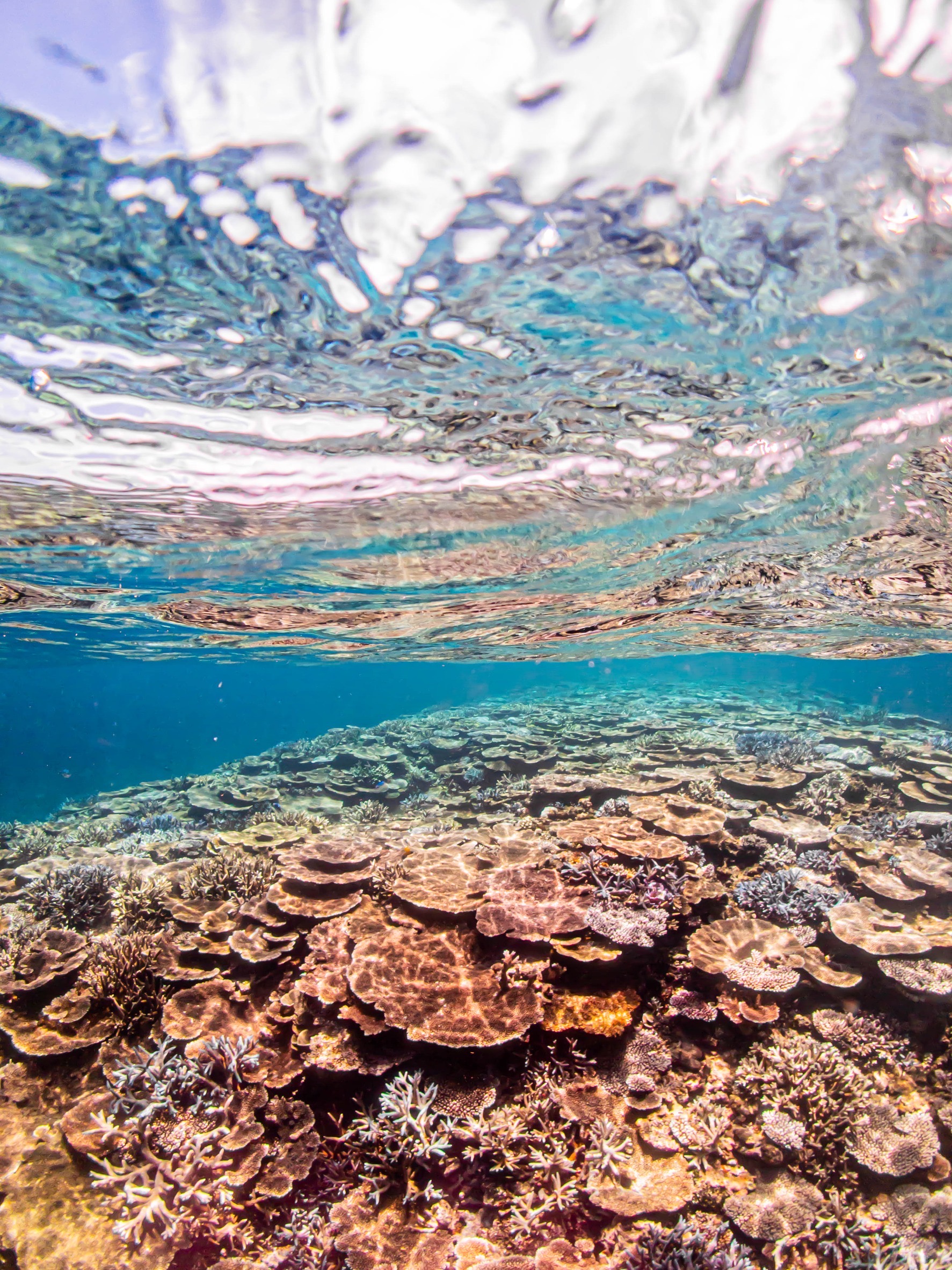 研修医の有給休暇の過ごし方 研修医の有給休暇の過ごし方