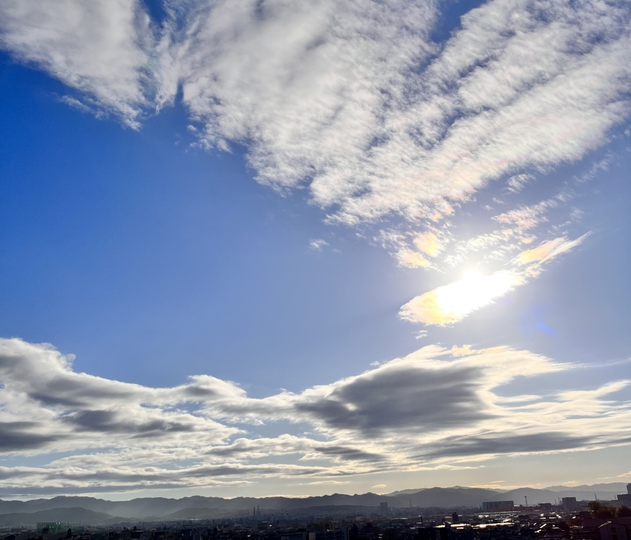 秋ですね 秋ですね