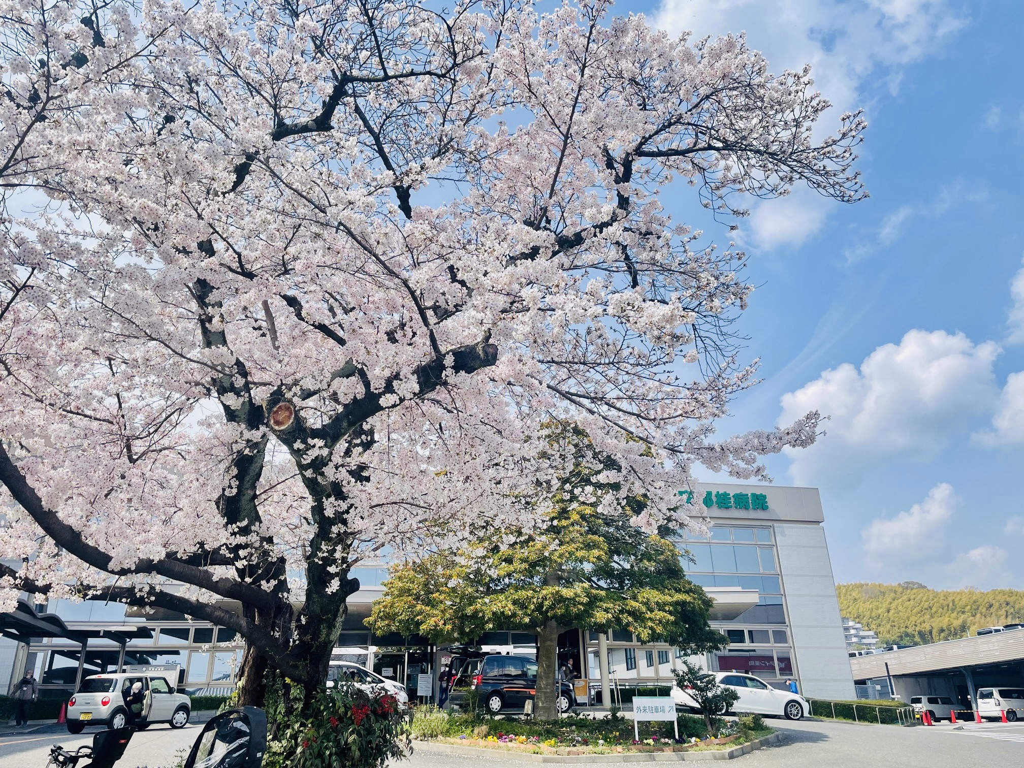 カルテには書けない2年間のこと カルテには書けない2年間のこと