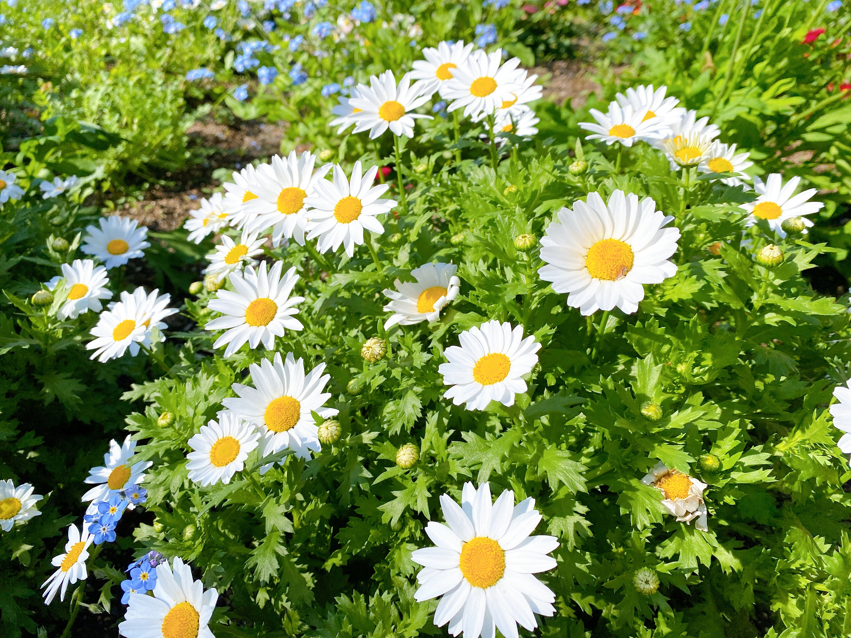 金曜勉強会〜心エコー実習〜