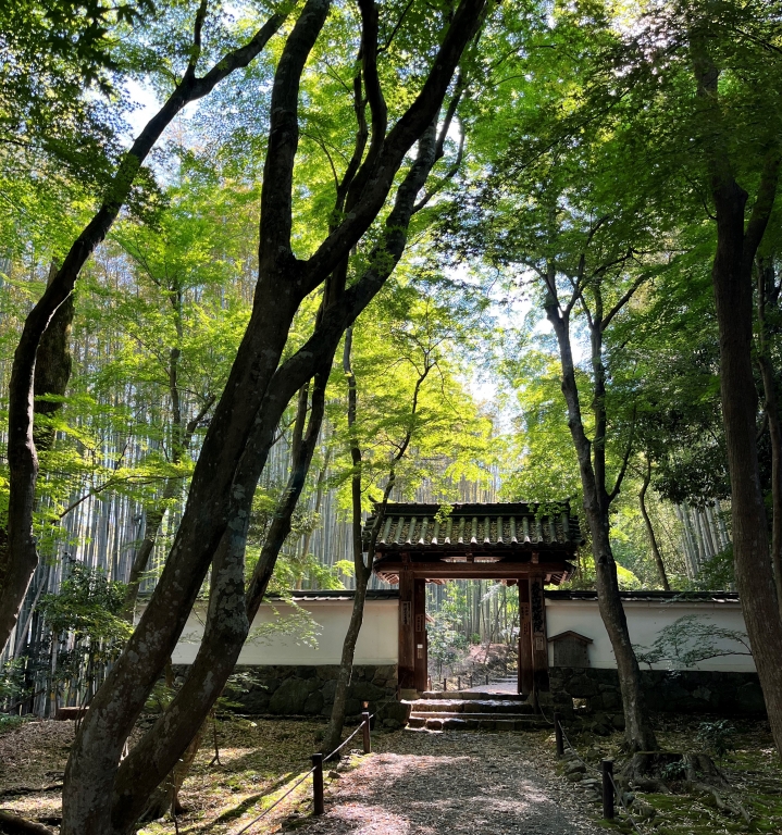 金曜勉強会~処方編~ 金曜勉強会~処方編~