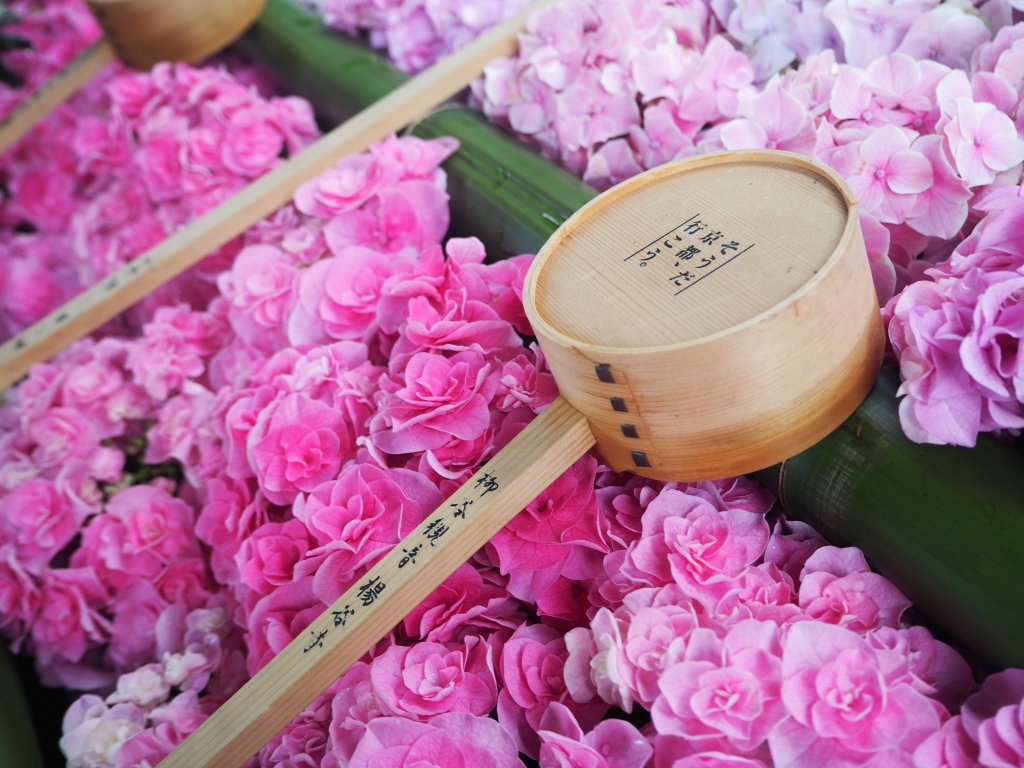 夏到来⁉ 夏到来⁉