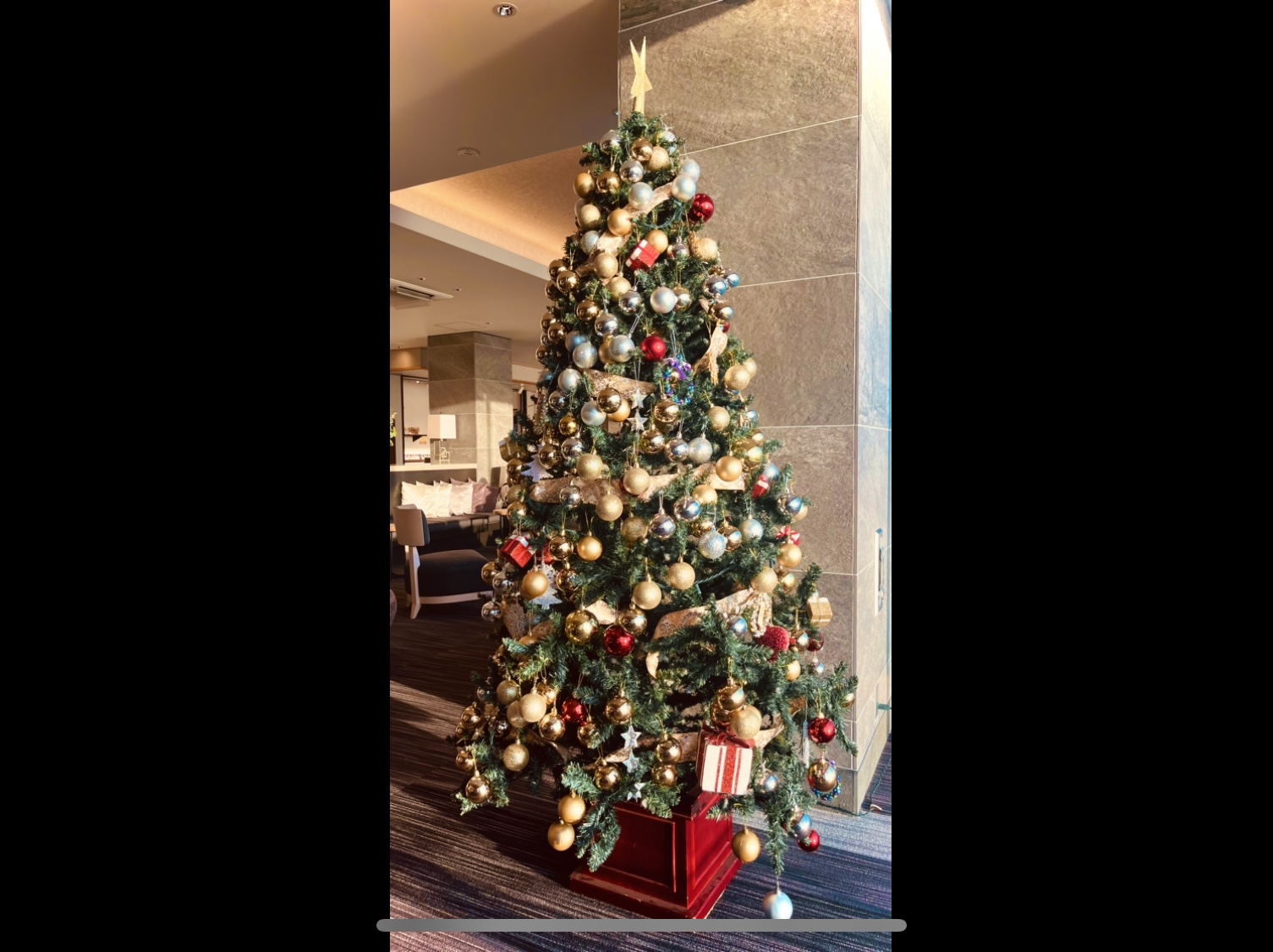 あっという間に年末ですね